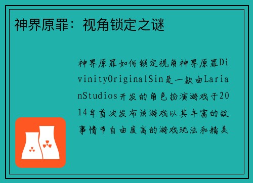 神界原罪：视角锁定之谜